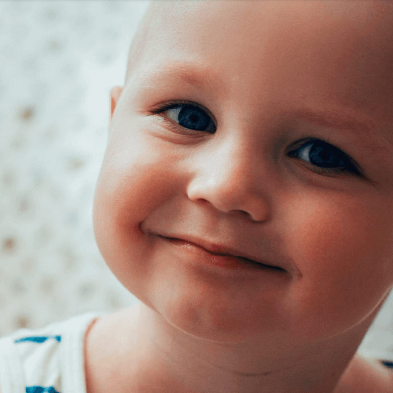 Webdesign Opmeer / Spanbroek, Project Direct, Timo van Tilburg, Snel een Webdesigner, WordPress website laten bouwen, WordPress Webdesign Hoorn, Webdesign Enkhuizen, Webdesign Purmerend, Webdesign Heerhugowaard, Webdesign Alkmaar, Webdesign Amsterdam, Webdesign Grootebroek, Webdesign Grootebroek, Webdesign Haarlem