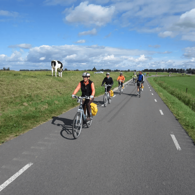 Webdesign Opmeer / Spanbroek, Webdesign Snel een webdesigner - Boost jouw Online Succes met onze Hulp