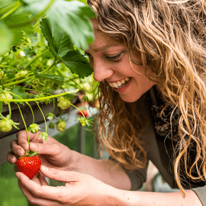 Webdesign Opmeer / Spanbroek, Webdesign Snel een webdesigner - Boost jouw Online Succes met onze Hulp