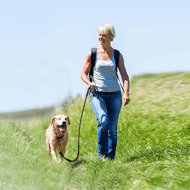 Webdesign Opmeer / Spanbroek, Webdesign Snel een webdesigner - Boost jouw Online Succes met onze Hulp